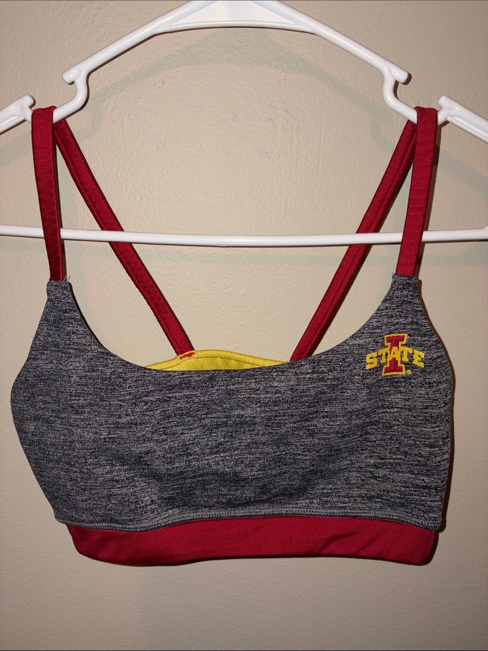 Iowa State Grey & Cardinal Sports Bra with Team Logo